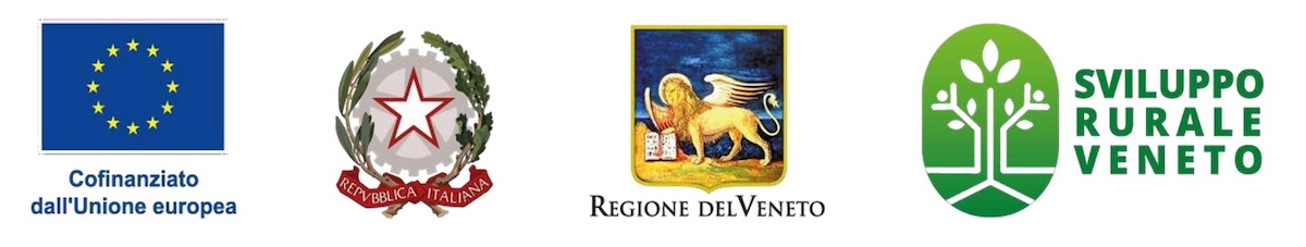 Investimenti per la competitività e la sostenibilità dell’azienda