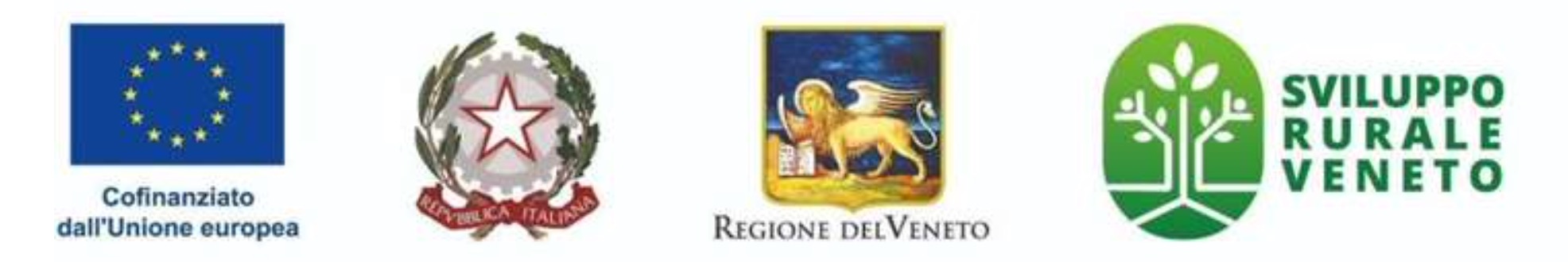 Investimenti per la competività e la sostenibilità dell’azienda
